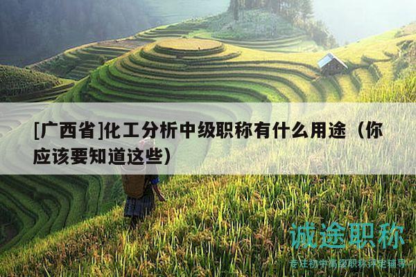 [廣西省]化工分析中級職稱有什么用途（你應(yīng)該要知道這些）
