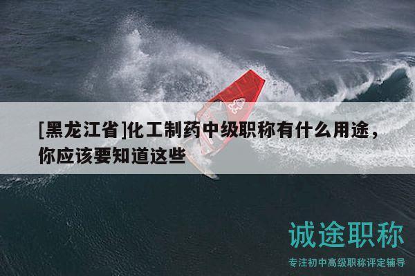 [黑龍江省]化工制藥中級職稱有什么用途，你應(yīng)該要知道這些