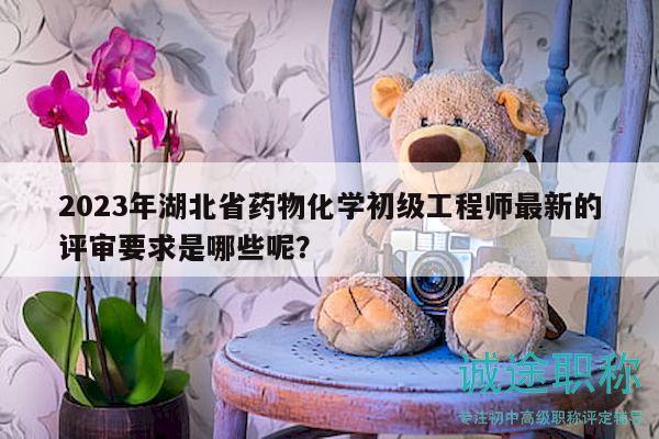2023年湖北省藥物化學(xué)初級工程師最新的評審要求是哪些呢？