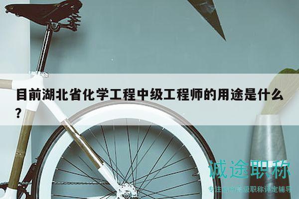 目前湖北省化學工程中級工程師的用途是什么？