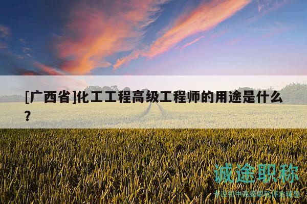 [廣西省]化工工程高級(jí)工程師的用途是什么？