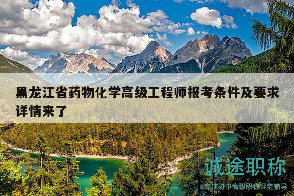 黑龍江省藥物化學(xué)高級工程師報考條件及要求詳情來了
