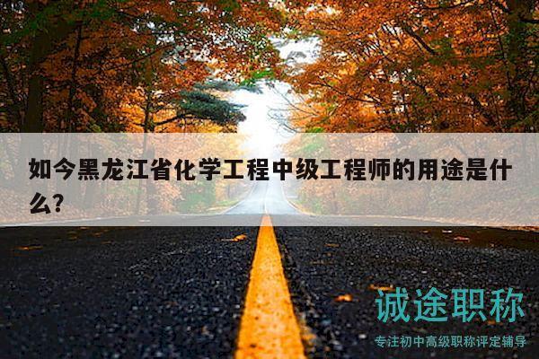 如今黑龍江省化學工程中級工程師的用途是什么？