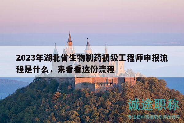 2023年湖北省生物制藥初級(jí)工程師申報(bào)流程是什么，來看看這份流程