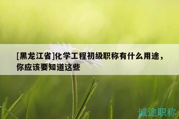 [黑龍江省]化學(xué)工程初級(jí)職稱(chēng)有什么用途，你應(yīng)該要知道這些