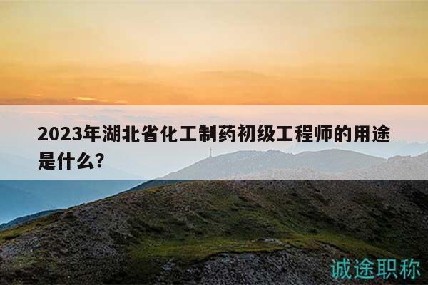 2023年湖北省化工制藥初級(jí)工程師的用途是什么？