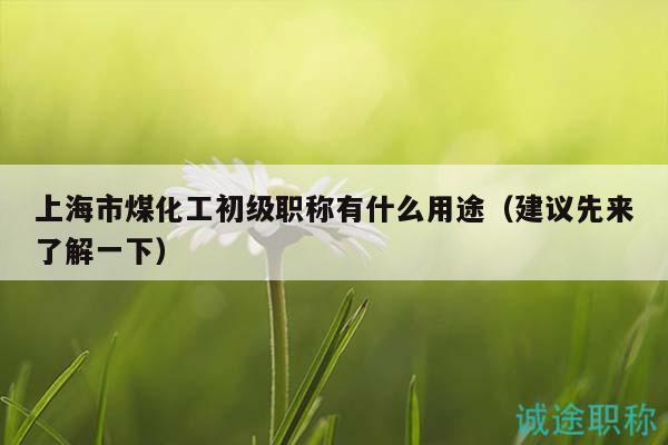 上海市煤化工初級職稱有什么用途（建議先來了解一下）