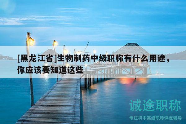 [黑龍江省]生物制藥中級(jí)職稱有什么用途，你應(yīng)該要知道這些