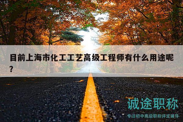 目前上海市化工工藝高級工程師有什么用途呢？