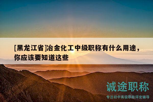[黑龍江省]冶金化工中級(jí)職稱有什么用途，你應(yīng)該要知道這些
