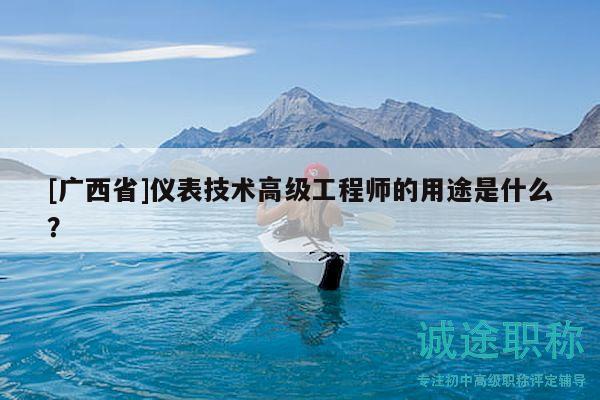 [廣西省]儀表技術(shù)高級工程師的用途是什么？