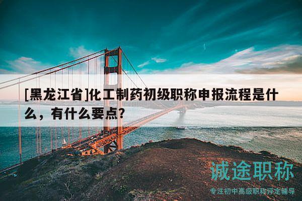 [黑龍江省]化工制藥初級職稱申報流程是什么，有什么要點？