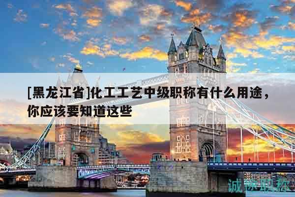 [黑龍江省]化工工藝中級職稱有什么用途，你應該要知道這些