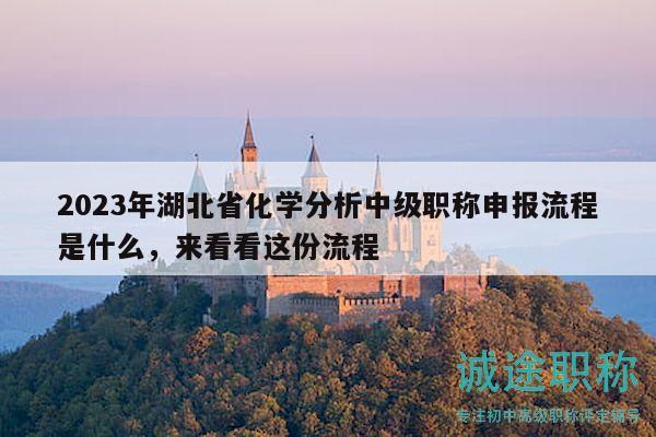 2023年湖北省化學分析中級職稱申報流程是什么，來看看這份流程