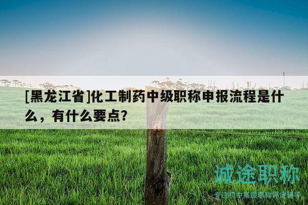 [黑龍江省]化工制藥中級(jí)職稱(chēng)申報(bào)流程是什么，有什么要點(diǎn)？