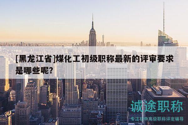[黑龍江省]煤化工初級(jí)職稱(chēng)最新的評(píng)審要求是哪些呢？