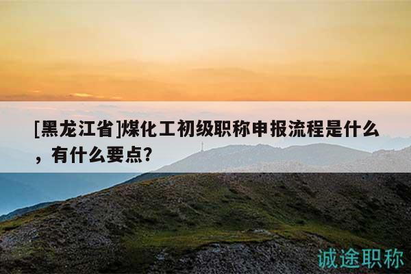 [黑龍江省]煤化工初級職稱申報流程是什么，有什么要點？