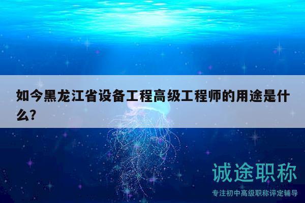 如今黑龍江省設(shè)備工程高級(jí)工程師的用途是什么？
