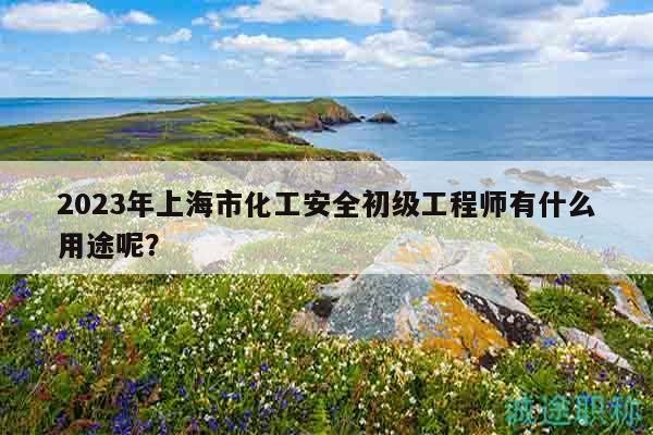 2023年上海市化工安全初級工程師有什么用途呢？