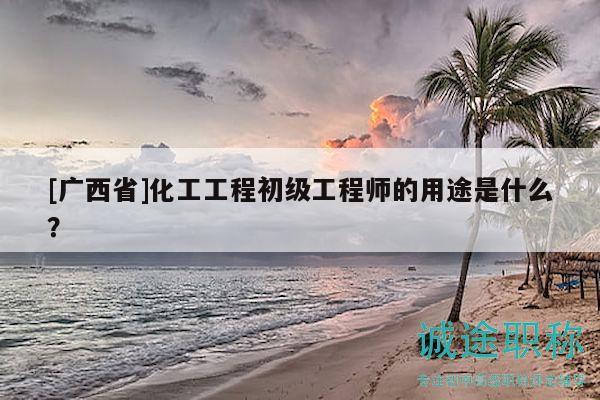 [廣西省]化工工程初級(jí)工程師的用途是什么？