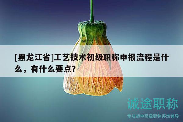 [黑龍江省]工藝技術(shù)初級職稱申報流程是什么，有什么要點？