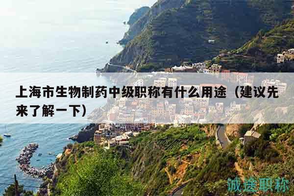 上海市生物制藥中級(jí)職稱有什么用途（建議先來(lái)了解一下）