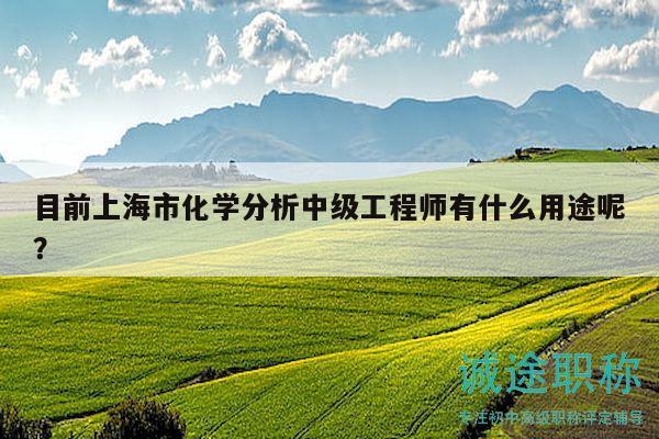 目前上海市化學分析中級工程師有什么用途呢？