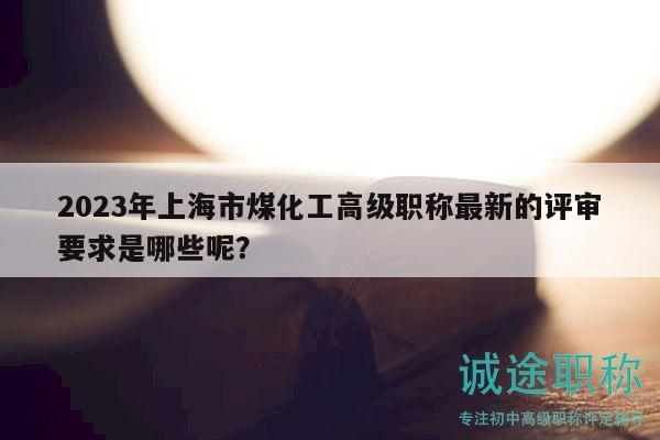 2023年上海市煤化工高級職稱最新的評審要求是哪些呢？
