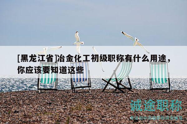 [黑龍江省]冶金化工初級(jí)職稱(chēng)有什么用途，你應(yīng)該要知道這些