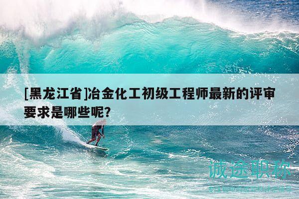 [黑龍江省]冶金化工初級工程師最新的評審要求是哪些呢？