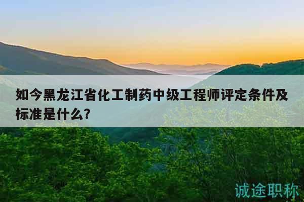 如今黑龍江省化工制藥中級(jí)工程師評(píng)定條件及標(biāo)準(zhǔn)是什么？