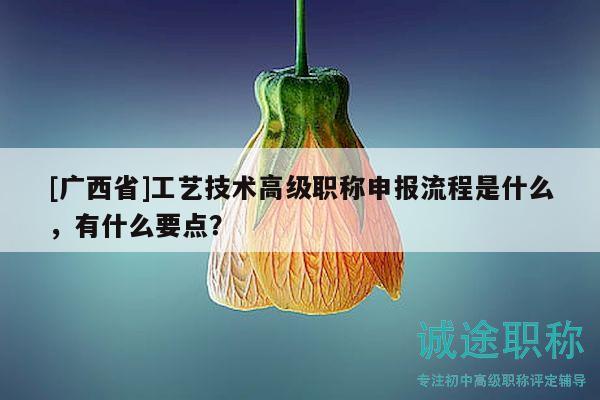 [廣西省]工藝技術(shù)高級職稱申報(bào)流程是什么，有什么要點(diǎn)？