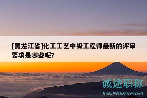 [黑龍江省]化工工藝中級工程師最新的評審要求是哪些呢？