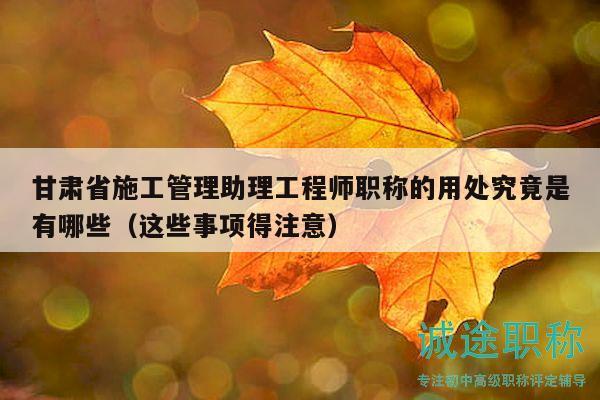 甘肅省施工管理助理工程師職稱的用處究竟是有哪些（這些事項(xiàng)得注意）