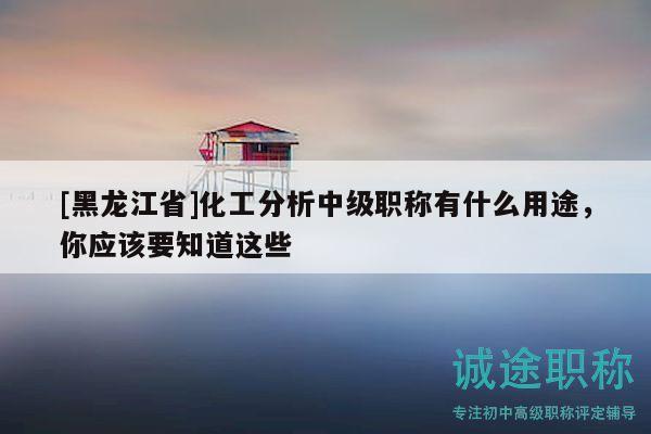 [黑龍江省]化工分析中級職稱有什么用途，你應(yīng)該要知道這些