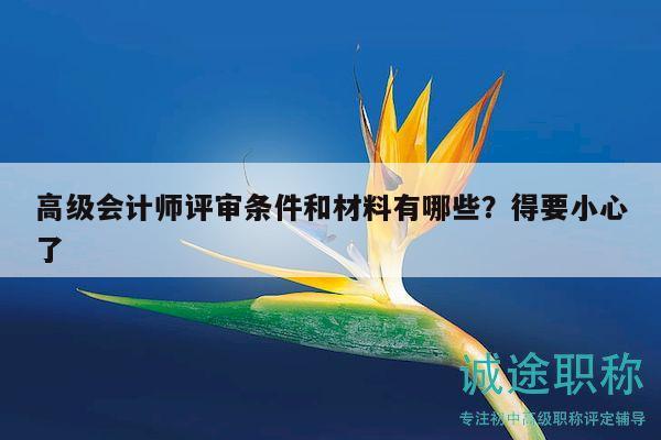 高級會計師評審條件和材料有哪些？得要小心了
