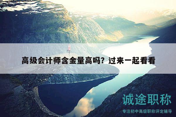 高級會計師含金量高嗎？過來一起看看