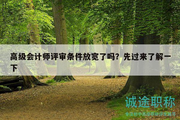 高級會計師評審條件放寬了嗎？先過來了解一下