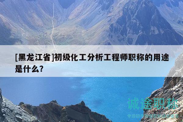 [黑龍江省]初級(jí)化工分析工程師職稱(chēng)的用途是什么？