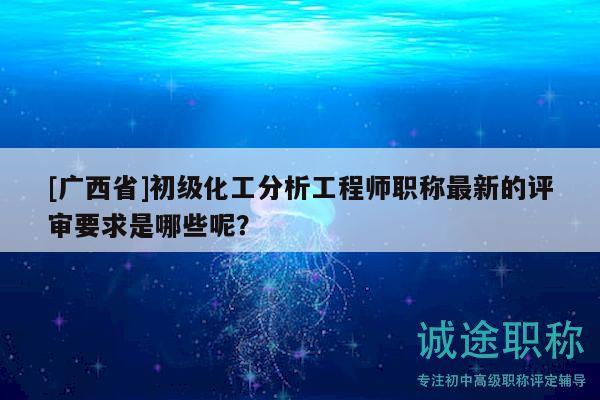[廣西省]初級化工分析工程師職稱最新的評審要求是哪些呢？