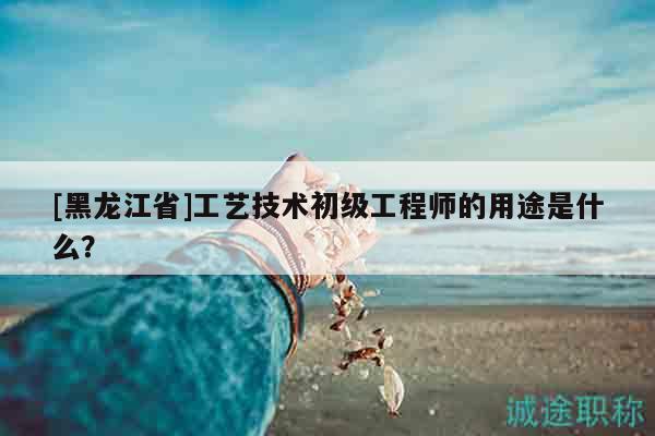 [黑龍江省]工藝技術(shù)初級(jí)工程師的用途是什么？
