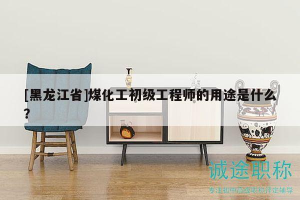 [黑龍江省]煤化工初級工程師的用途是什么？