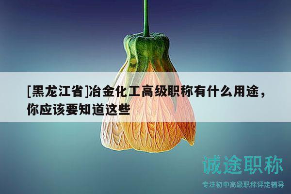 [黑龍江省]冶金化工高級(jí)職稱有什么用途，你應(yīng)該要知道這些