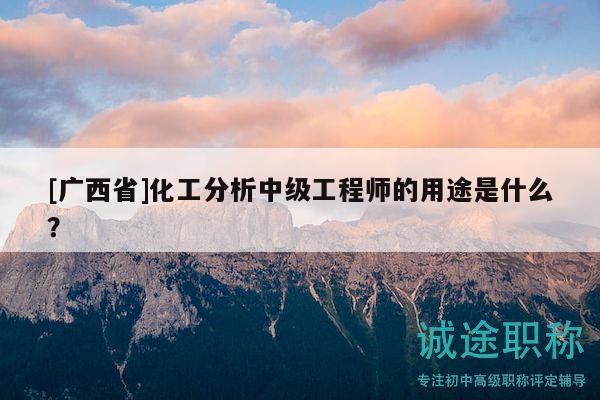 [廣西省]化工分析中級(jí)工程師的用途是什么？
