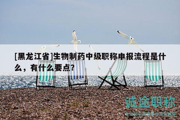 [黑龍江省]生物制藥中級職稱申報流程是什么，有什么要點？