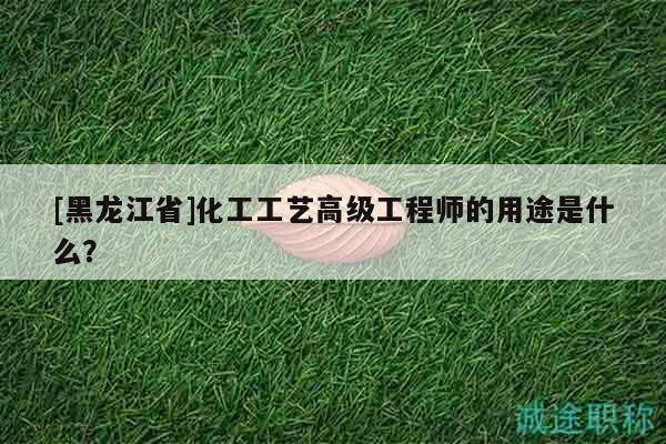 [黑龍江省]化工工藝高級工程師的用途是什么？