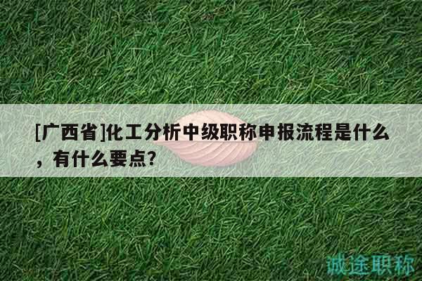 [廣西省]化工分析中級職稱申報流程是什么，有什么要點？