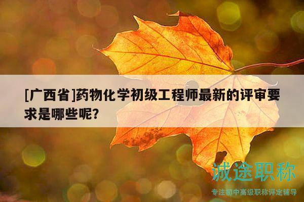 [廣西省]藥物化學初級工程師最新的評審要求是哪些呢？