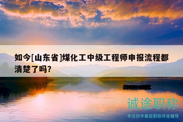 如今[山東省]煤化工中級(jí)工程師申報(bào)流程都清楚了嗎？