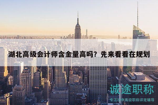 湖北高級會計師含金量高嗎？先來看看在規(guī)劃